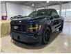 2025 Ford F-150 XL (Stk: F150BLUE) in Toronto - Image 1 of 16