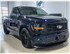2025 Ford F-150 XL (Stk: F150BLUE) in Toronto - Image 7 of 16