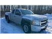 2011 Chevrolet Silverado 1500  (Stk: S2132A) in Welland - Image 8 of 8