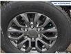 2022 Ford Ranger XLT (Stk: 25F1825A) in Newmarket - Image 6 of 25