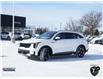 2026 Kia Sorento Hybrid SX (Stk: KA248) in Kanata - Image 6 of 26