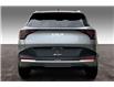 2026 Kia Sportage LX (Stk: TSP7275) in Sherwood Park - Image 4 of 13