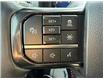 2025 Ford F-150 Platinum (Stk: C26084A) in Claresholm - Image 22 of 30