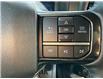 2025 Ford F-150 Platinum (Stk: C26084A) in Claresholm - Image 23 of 30