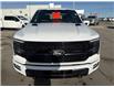 2025 Ford F-150 Platinum (Stk: C26084A) in High River - Image 9 of 30