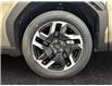 2026 Subaru Forester Limited (Stk: 300218) in Lethbridge - Image 14 of 15