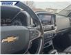 2019 Chevrolet Colorado Z71 (Stk: P8336) in Dartmouth - Image 14 of 24