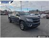 2019 Chevrolet Colorado Z71 (Stk: P8336) in Dartmouth - Image 24 of 24