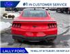 2026 Ford Mustang EcoBoost (Stk: LFMU01522) in Tilbury - Image 4 of 14