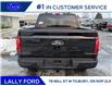 2026 Ford F-150 XLT (Stk: LFFF01581) in Tilbury - Image 5 of 15