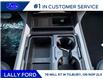 2026 Ford F-250 Platinum (Stk: LFFF01503) in Tilbury - Image 14 of 15