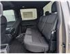 2026 Ford F-150 STX (Stk: F1414) in Miramichi - Image 11 of 13