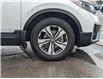 2022 Honda CR-V LX (Stk: WN26275A) in Welland - Image 6 of 26