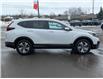 2022 Honda CR-V LX (Stk: WN26275A) in Welland - Image 7 of 26