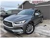 2019 Infiniti QX50 ESSENTIAL in Sussex - Image 1 of 15