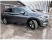 2019 Infiniti QX50 ESSENTIAL in Sussex - Image 6 of 15