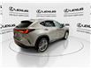 2023 Lexus NX 350  (Stk: 14111946A) in Markham - Image 9 of 29