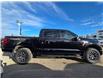 2024 Ford F-150 Tremor (Stk: TA-155A) in Calgary - Image 3 of 12