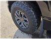 2024 Ford F-150 Tremor (Stk: TA-155A) in Calgary - Image 5 of 12