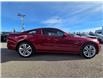 2014 Ford Mustang GT (Stk: SA-1698A) in Calgary - Image 3 of 9 2014 Ford Mustang GT (Stk: SA-1698A) in Calgary - Image 3 of 9