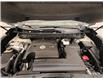 2019 Nissan Murano Platinum (Stk: N137246) in Courtenay - Image 10 of 17
