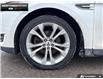 2013 Ford Taurus SEL (Stk: P11729A) in Brantford - Image 6 of 19