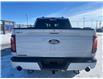 2025 Ford F-150 Tremor (Stk: S78304) in Hague - Image 8 of 13