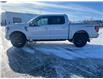 2025 Ford F-150 Tremor (Stk: S78304) in Hague - Image 5 of 13