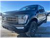 2023 Ford F-150 Tremor (Stk: U99485) in Hague - Image 4 of 13