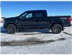 2023 Ford F-150 Tremor (Stk: U99485) in Hague - Image 5 of 13