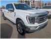 2021 Ford F-150 Lariat (Stk: SK-563A) in Calgary - Image 7 of 27