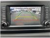 2018 Kia Sedona  (Stk: 251535A) in Kingston - Image 27 of 32