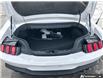 2026 Ford Mustang GT Premium (Stk: 260117) in Hamilton - Image 8 of 20