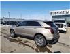 2023 Cadillac XT5 Premium Luxury (Stk: 6C005A) in Blenheim - Image 5 of 17