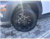 2025 Hyundai Kona 2.0L Preferred w/Trend Package (Stk: 16U101629) in Markham - Image 10 of 29
