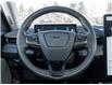 2021 Ford Mustang Mach-E Premium (Stk: P1036) in Mississauga - Image 15 of 34
