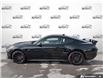 2026 Ford Mustang GT Premium (Stk: 260090) in Hamilton - Image 3 of 21