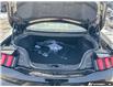 2026 Ford Mustang GT Premium (Stk: 260090) in Hamilton - Image 8 of 21
