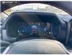 2026 Ford F-150 Tremor (Stk: 26T9752) in Red Deer - Image 14 of 24
