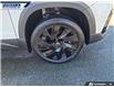2024 Volkswagen Taos Comfortline Black Edition (Stk: P2576L) in Dartmouth - Image 7 of 24