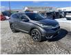 2017 Honda CR-V Touring (Stk: SVW1419) in Sarnia - Image 7 of 19