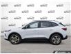 2026 Ford Escape ST-Line Select (Stk: XI037) in Sault Ste. Marie - Image 3 of 24