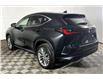2024 Lexus NX 350 Base (Stk: X3655A) in London - Image 12 of 35