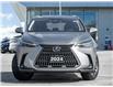 2024 Lexus NX 350h (Stk: 15105524A) in Richmond Hill - Image 3 of 25 2024 Lexus NX 350h (Stk: 15105524A) in Richmond Hill - Image 3 of 25