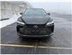 2024 Lexus RX 350h Base (Stk: 1901) in Sarnia - Image 3 of 4