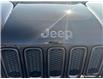 2016 Jeep Renegade Trailhawk (Stk: 165066) in London - Image 8 of 18