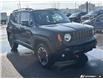 2016 Jeep Renegade Trailhawk (Stk: 165066) in London - Image 18 of 18