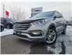 2017 Hyundai Santa Fe Sport 2.0T Limited in Ottawa - Image 8 of 9
