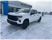 2025 Chevrolet Silverado 1500 Custom Trail Boss (Stk: 26T119B) in Wadena - Image 2 of 22