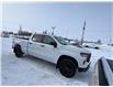 2025 Chevrolet Silverado 1500 Custom Trail Boss (Stk: 26T119B) in Wadena - Image 4 of 22